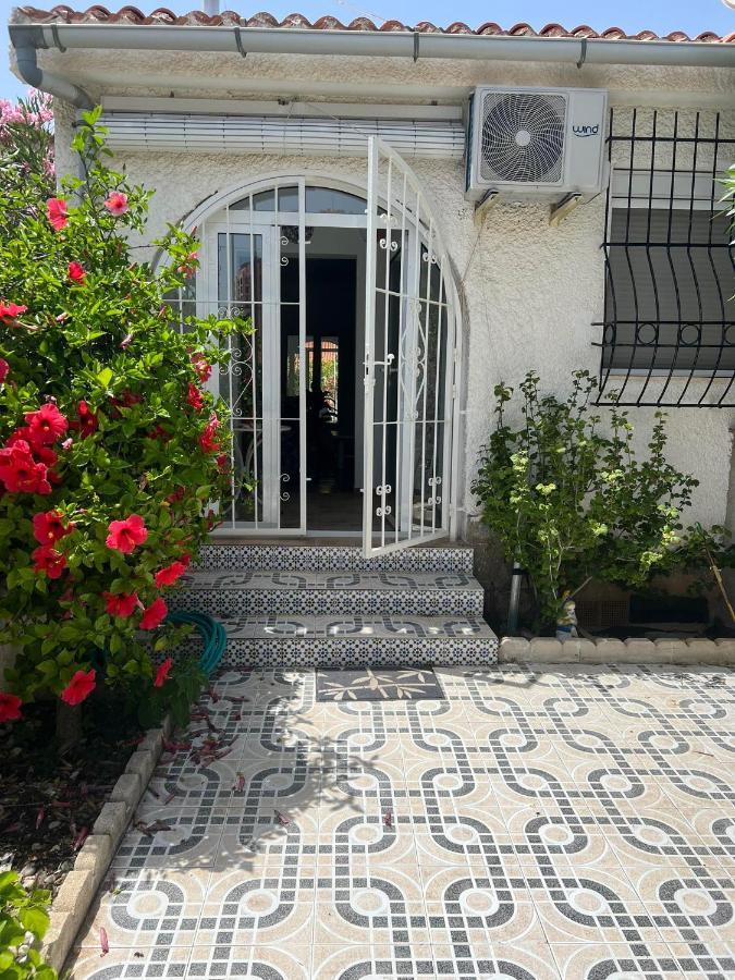 Holiday Apartments Torrevieja Exterior photo