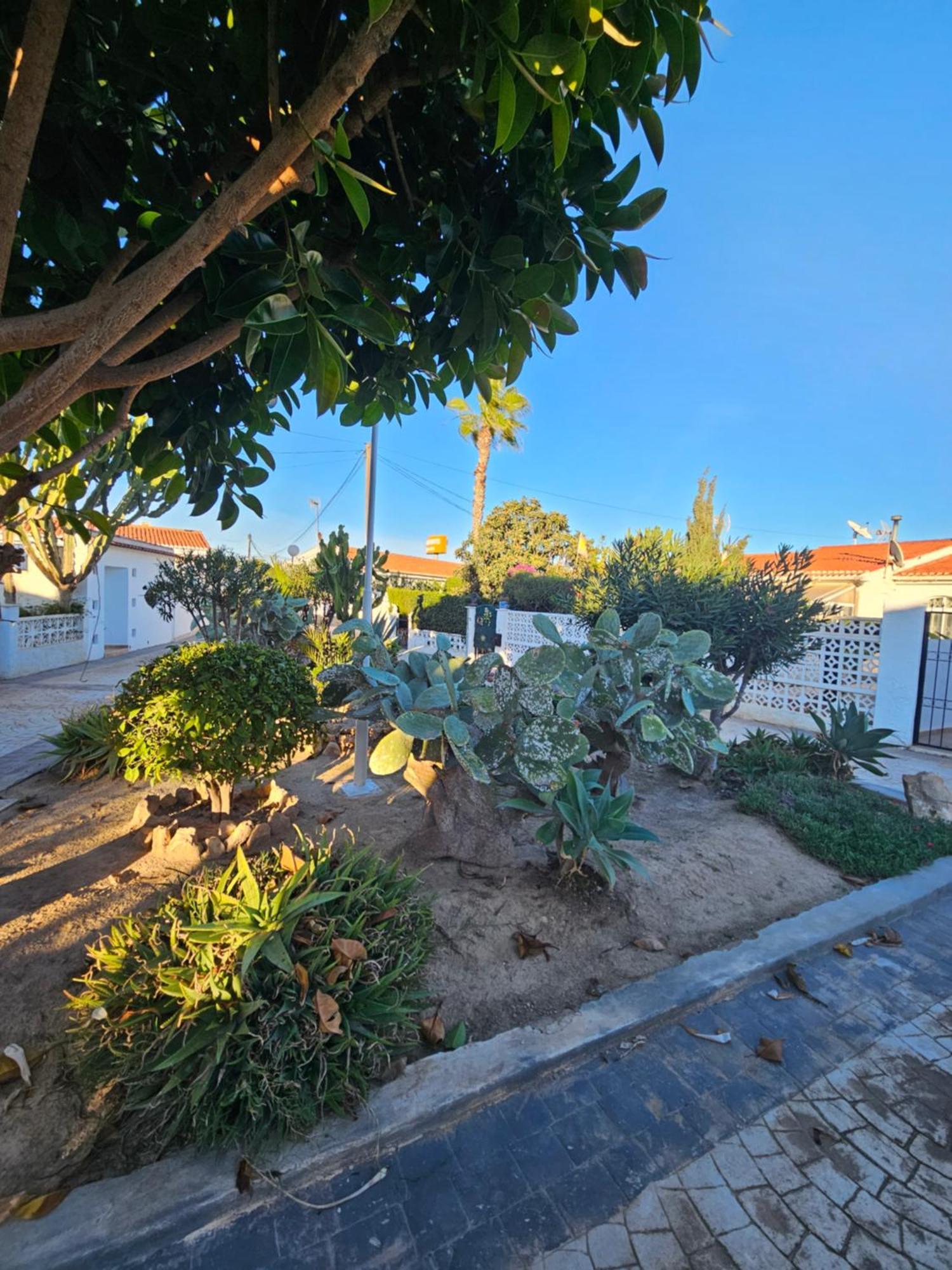 Holiday Apartments Torrevieja Exterior photo